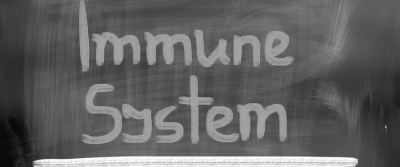 Basic Lifestyle Guidelines to Boost the Immune System