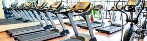 gym equipment insurance